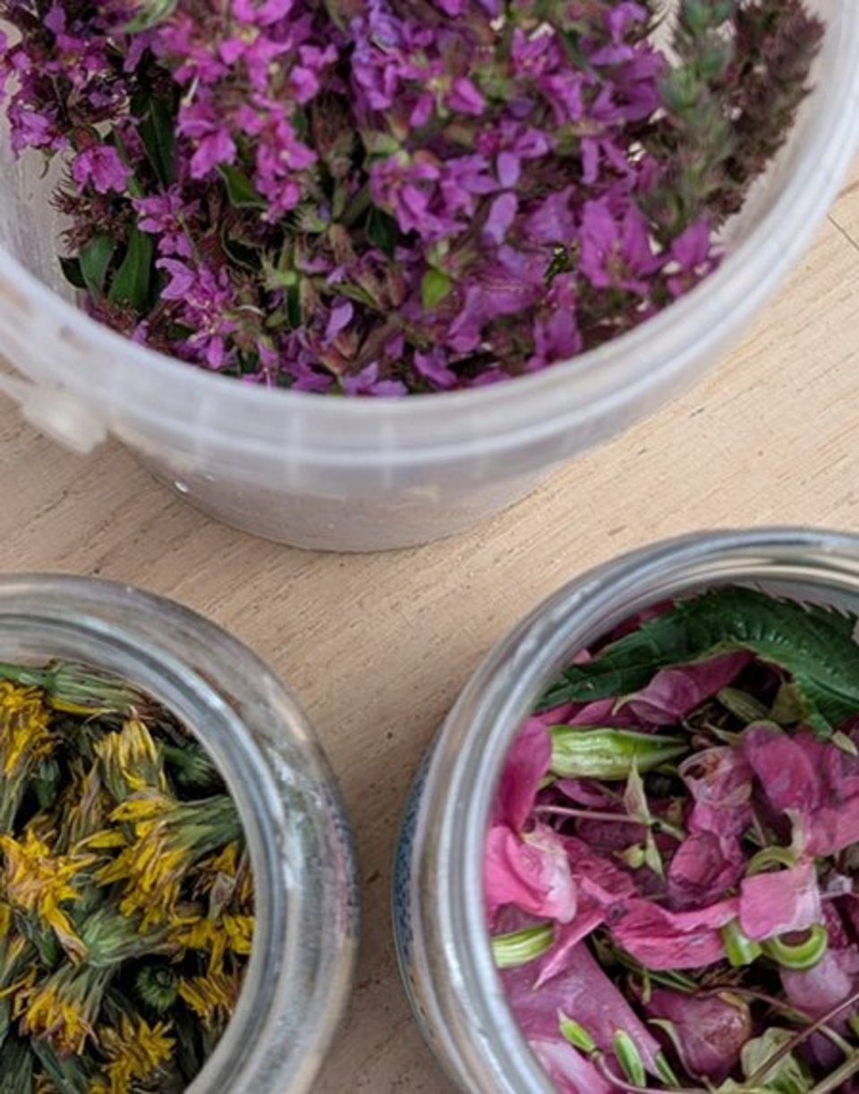 Blüten