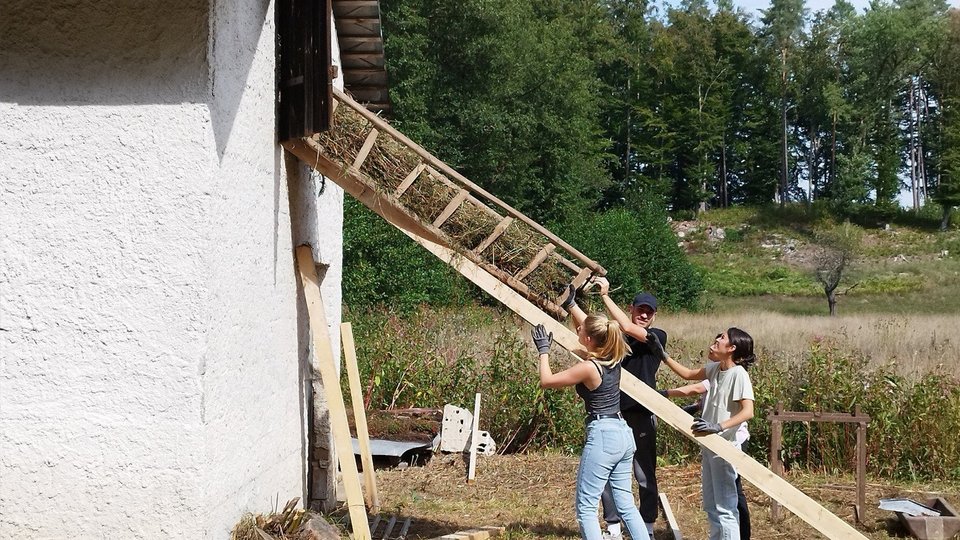 Bauen mit Naturmaterialien, Workshop am Wörhtersee in Kärnten