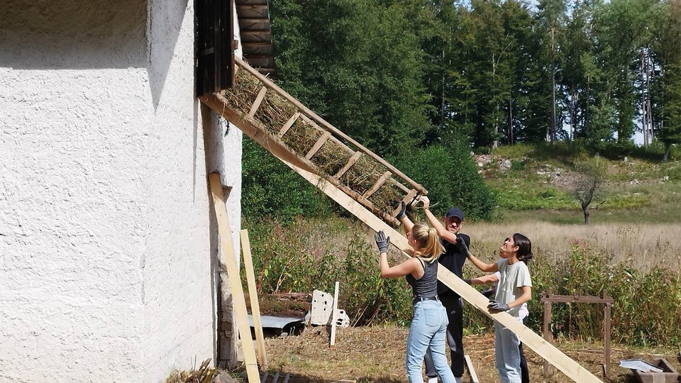Studierende bei der Arbeit mit Holz und Stroh während eines Workshops