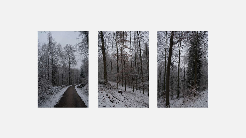Umgebungsfotos der Studienarbeit 