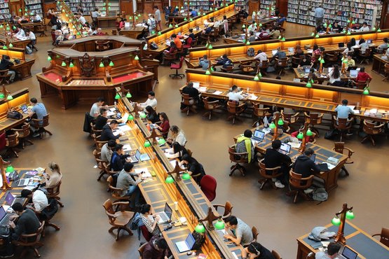 Studierende lernen in einer Bibliothek