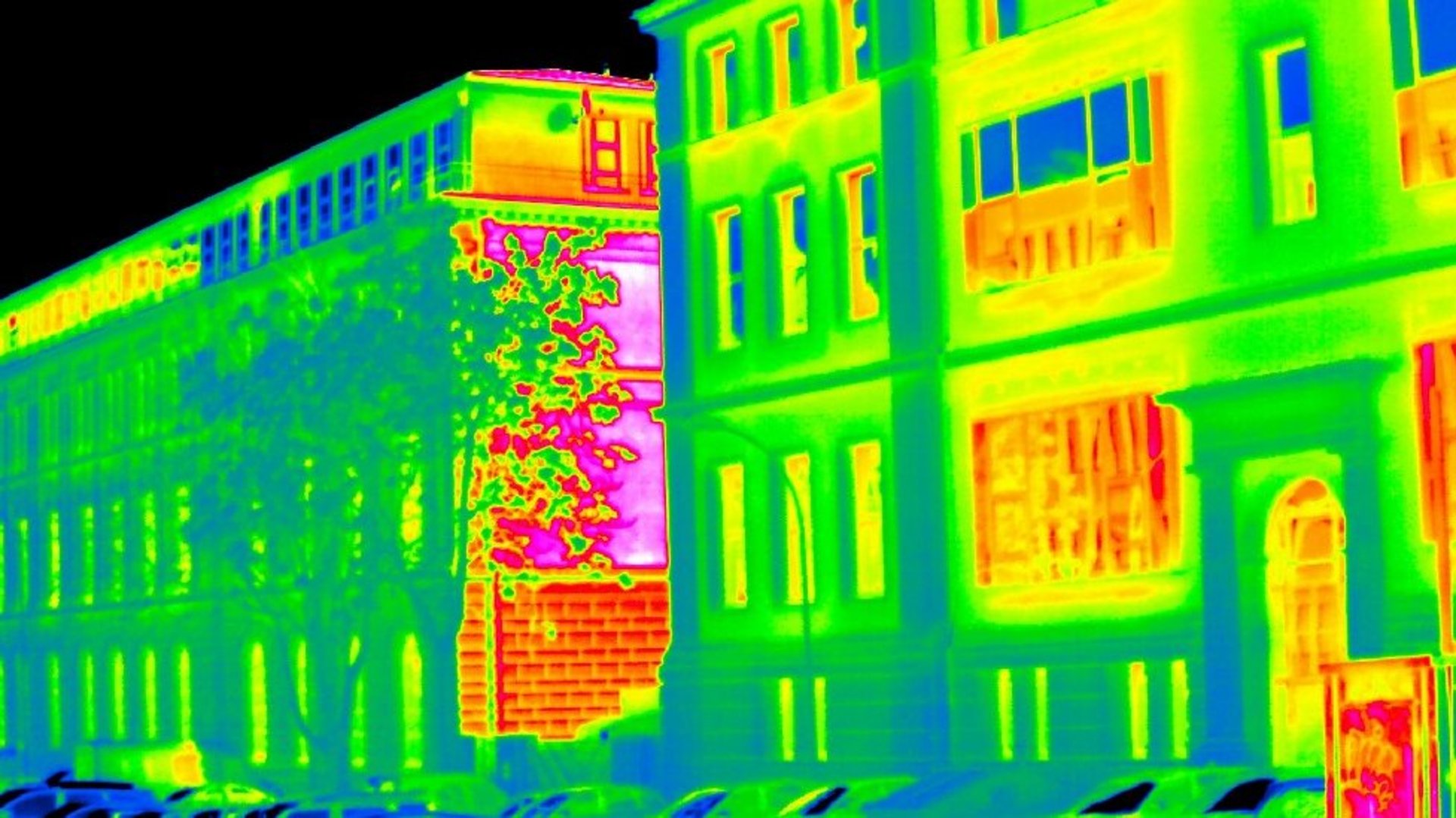 Thermografieaufnahme der HFT