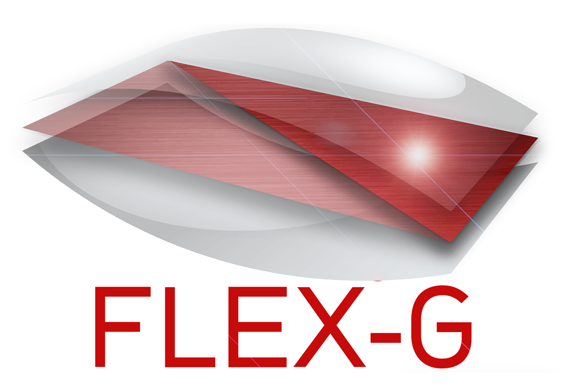 Flex-G Projektlogo