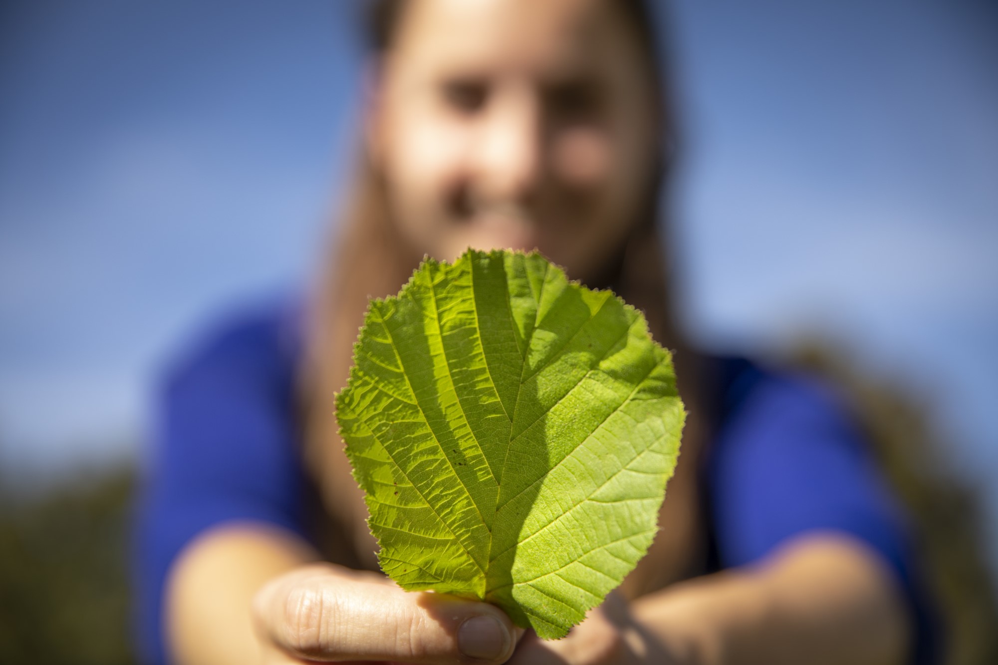 Frau hält ein Blatt in die Kamera