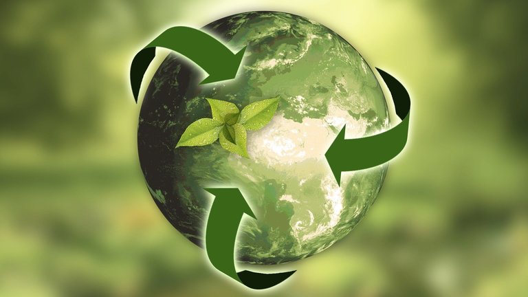 What Is Environmental Protection : Environmental Protection In The Production Process Klingele Paper Packaging Group Klingele Papierwerke _ Responsibility for steering and monitoring health, safety and environmental protection (hse) across the group lies with the enabling function of the same name.