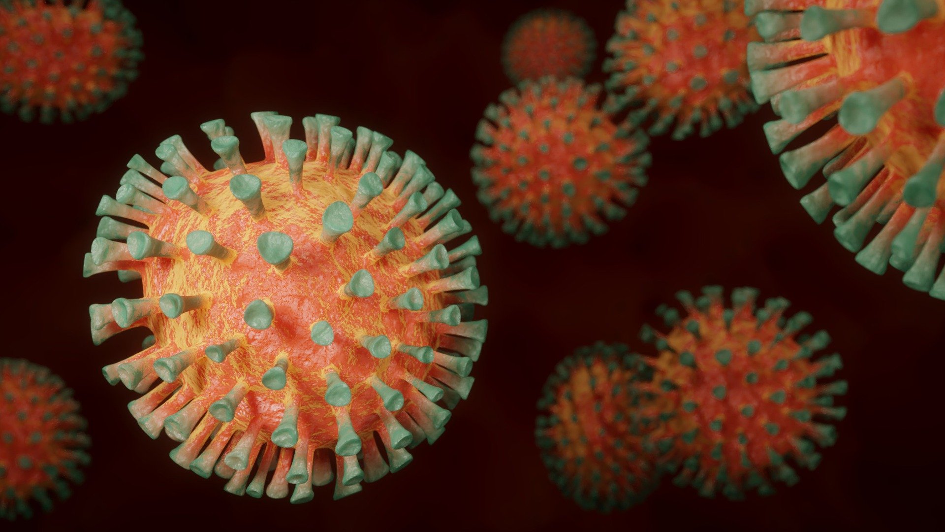 Grafische Darstellung Corona-Virus
