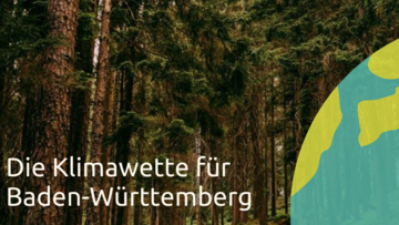 Banner zur Klimawette - Blick in einen Wald