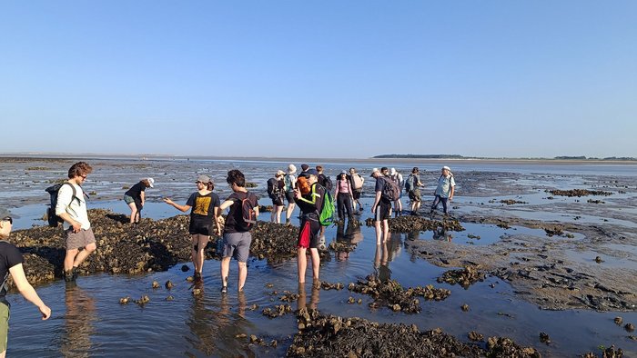 Impressionen vom Esri Summer Camp 2026
