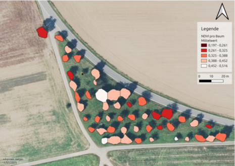 Luftbild mit Markierung und gesundheitlicher Kategorisierung des Streuobstbestands mit Hilfe von KIbestand